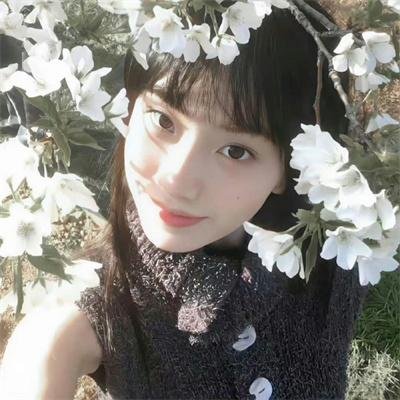 装饰之日