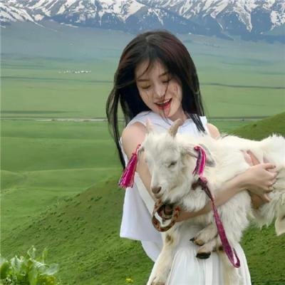 9号秘事第七季